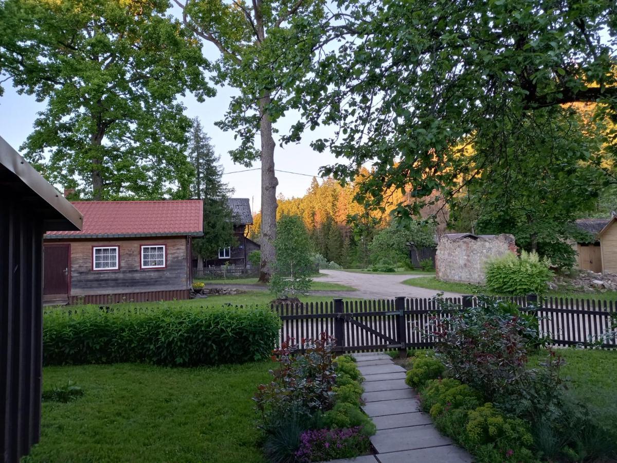 Turisma Mitne Zviedri Apartamento Līgatne Exterior foto