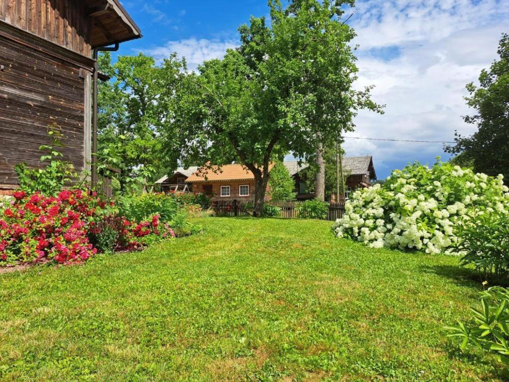 Turisma Mitne Zviedri Apartamento Līgatne Exterior foto